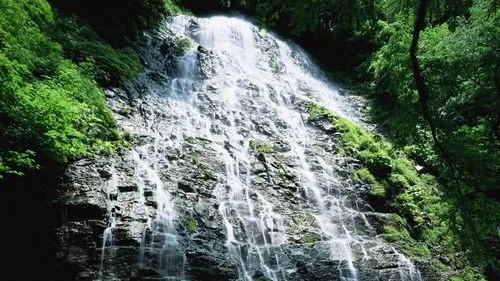 节能全自动高标准